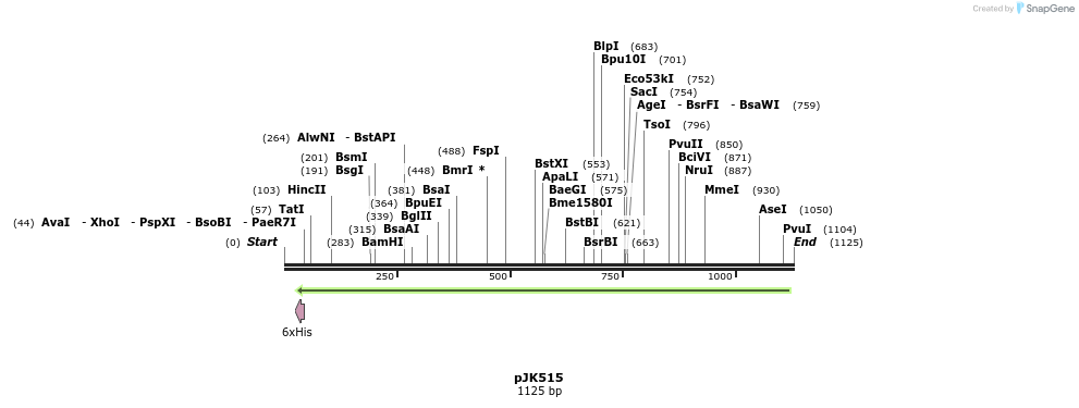 136126_map