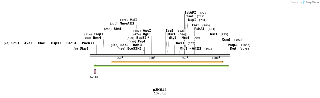 136128_map