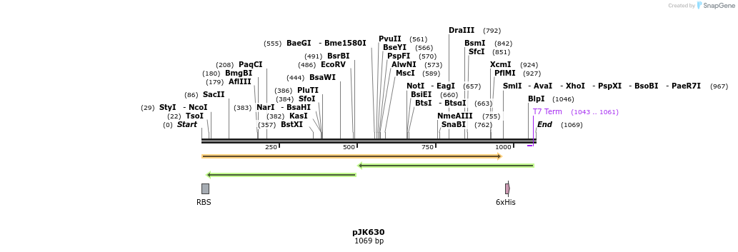 136129_map