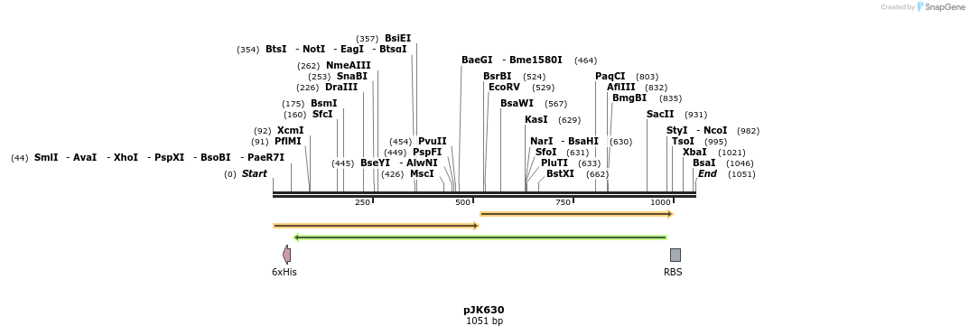 136130_map