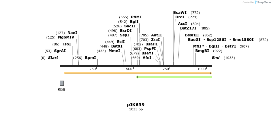 136131_map