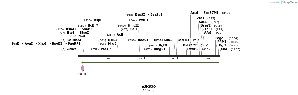 136132_map