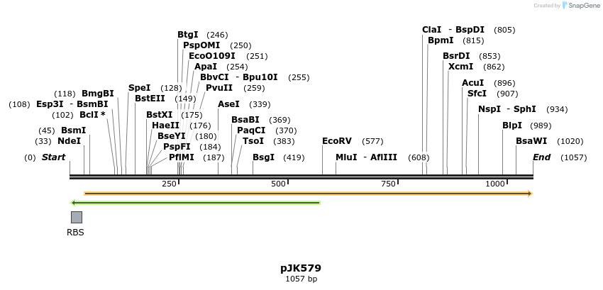 136133_map
