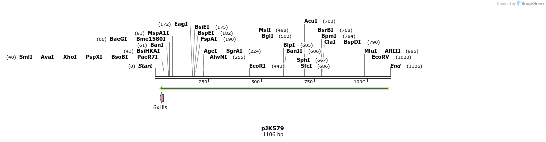 136135_map
