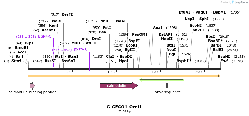 136142_map
