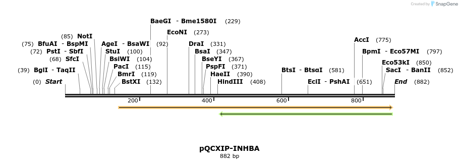136168_map