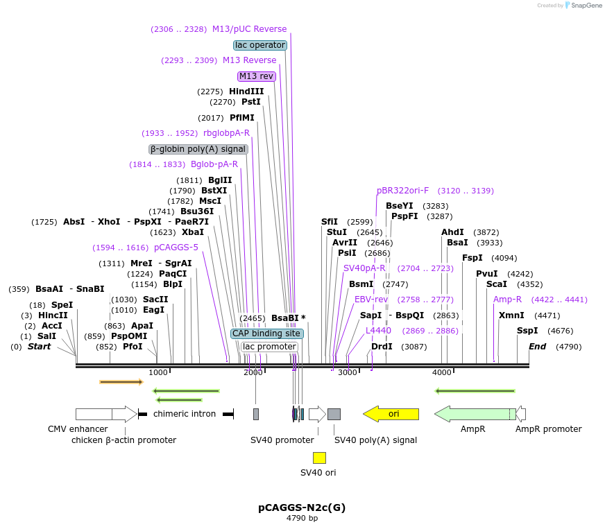 136172_map