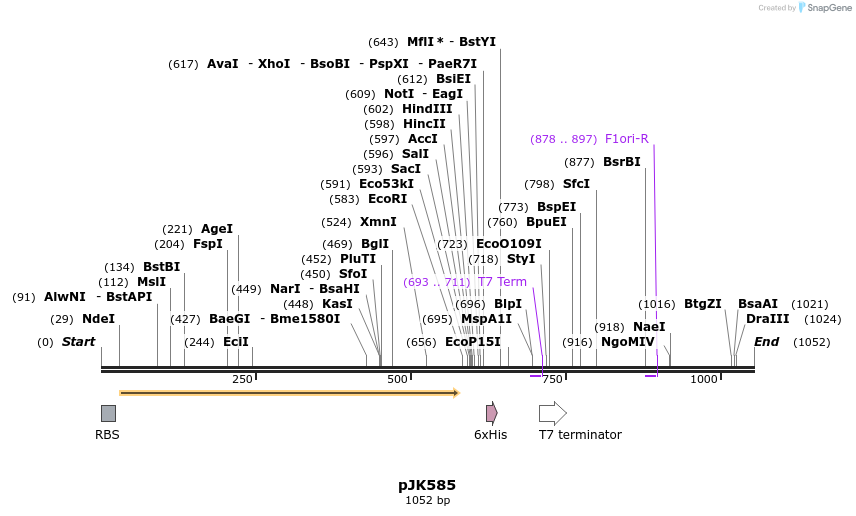 136177_map