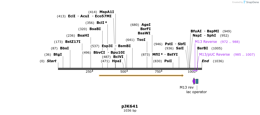 136179_map