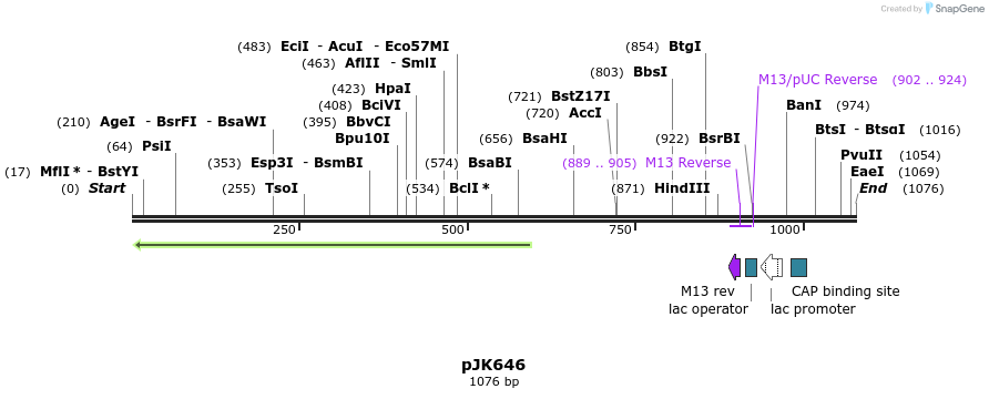 136181_map