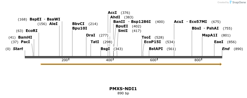 136189_map