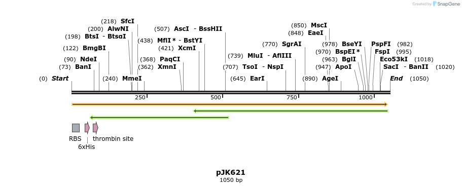 136190_map