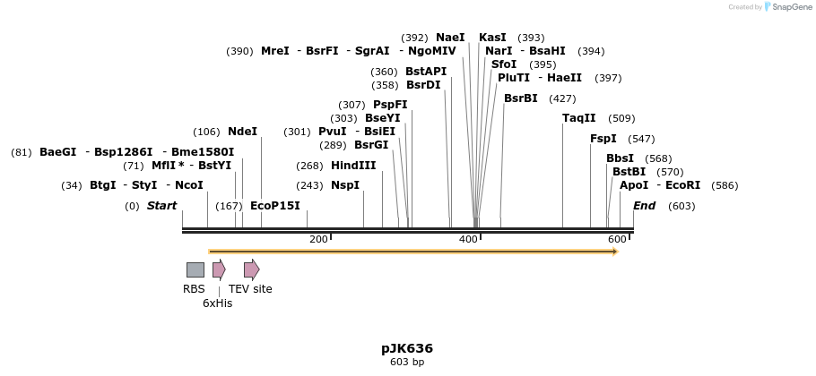136193_map