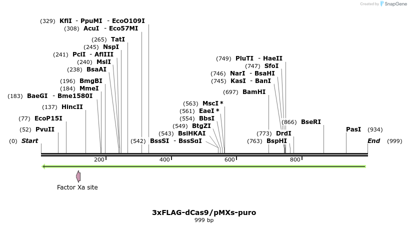 136196_map