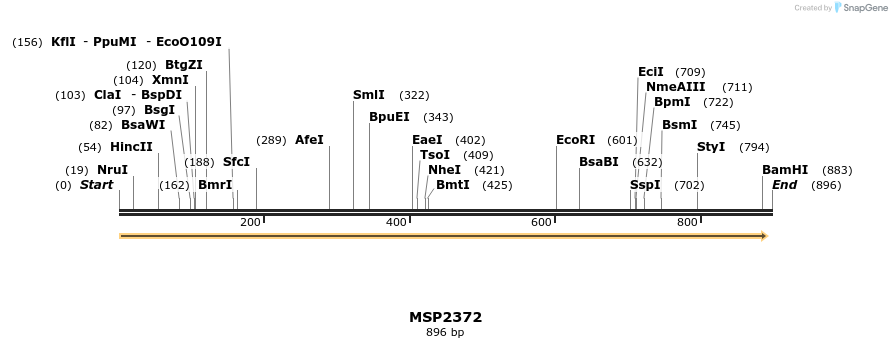 136201_map