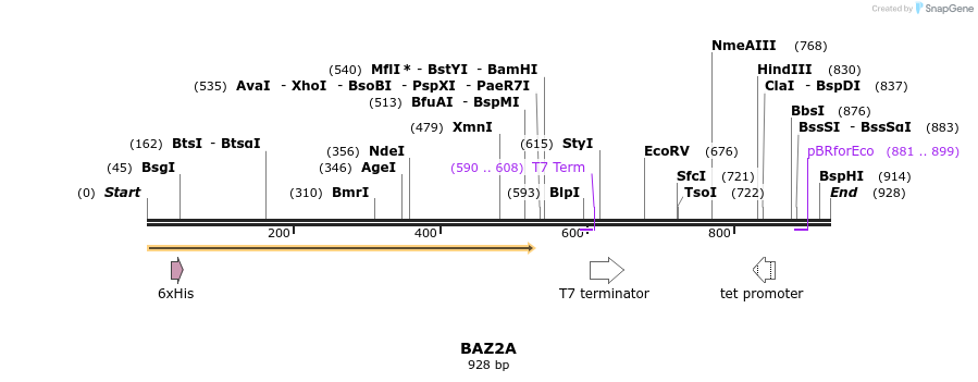 136202_map