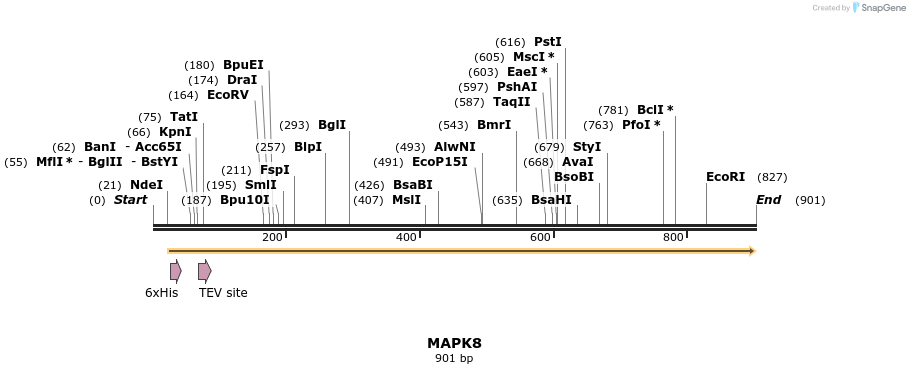 136203_map