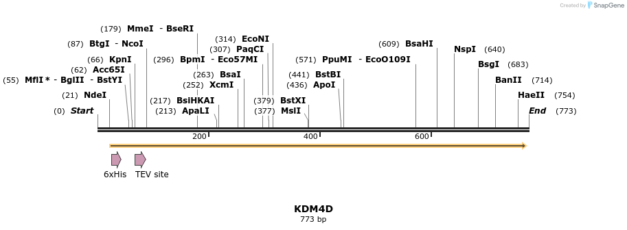 136210_map