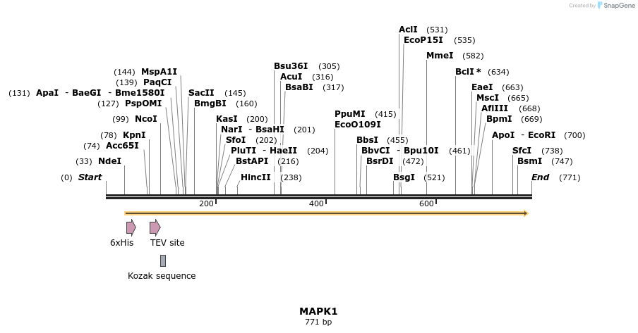 136211_map