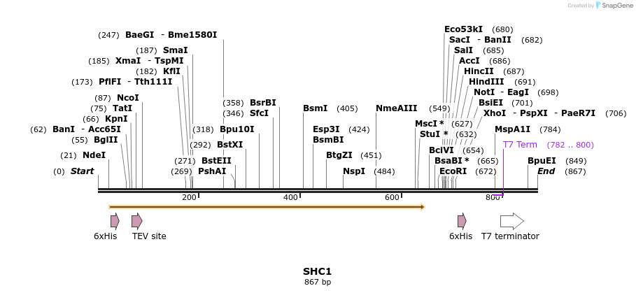 136212_map