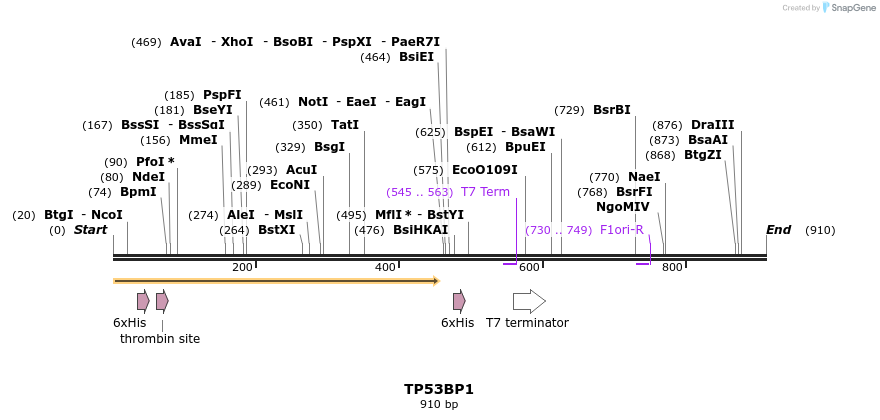 136216_map