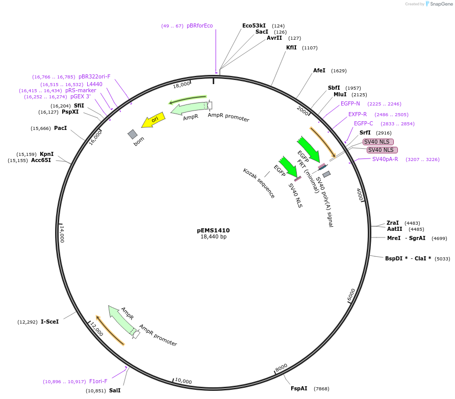 13622_map