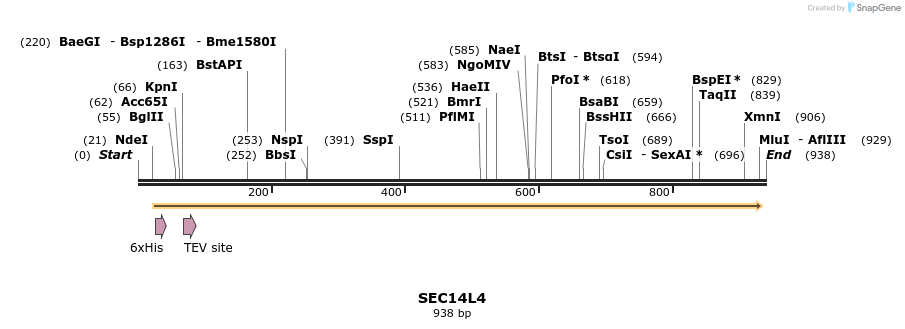 136220_map