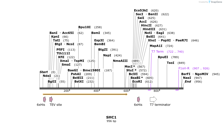 136223_map