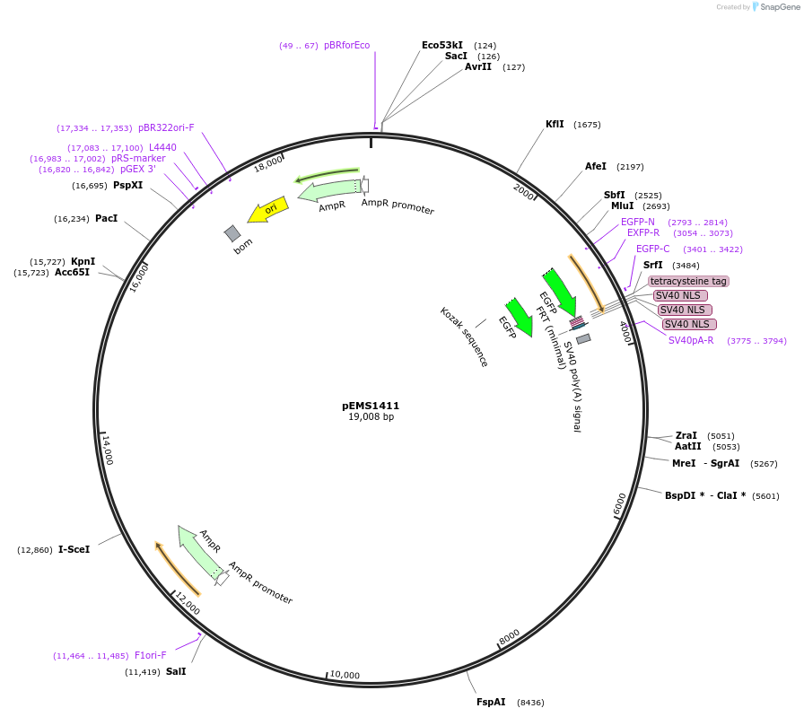 13623_map