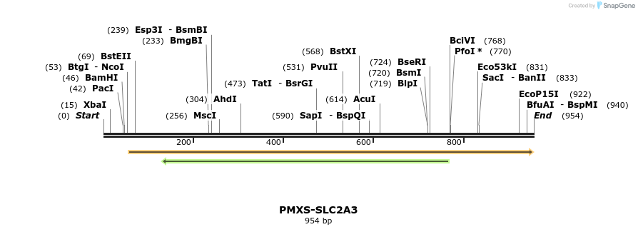 136230_map