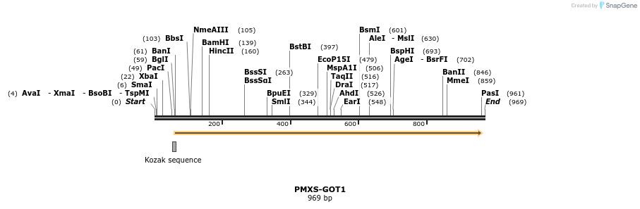 136232_map