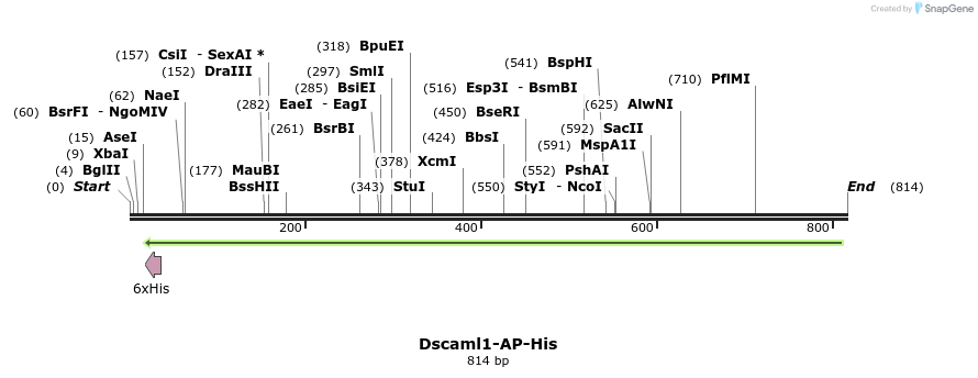 136237_map