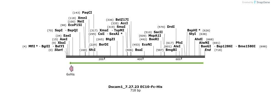 136238_map