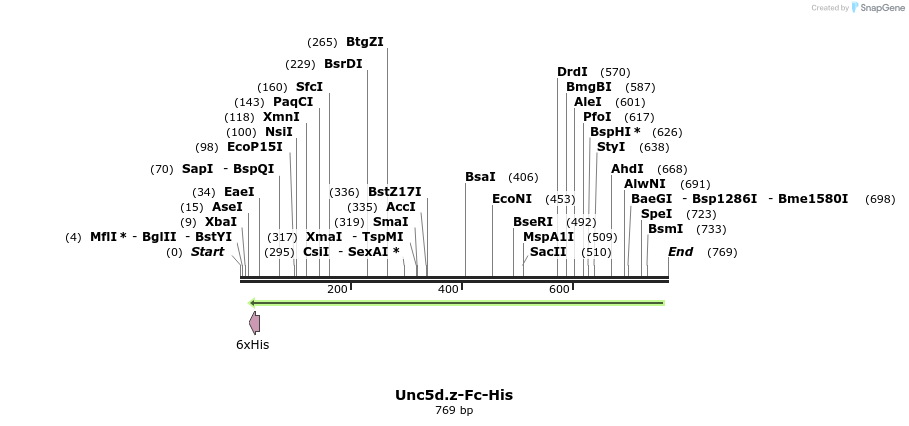136242_map