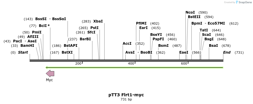 136243_map
