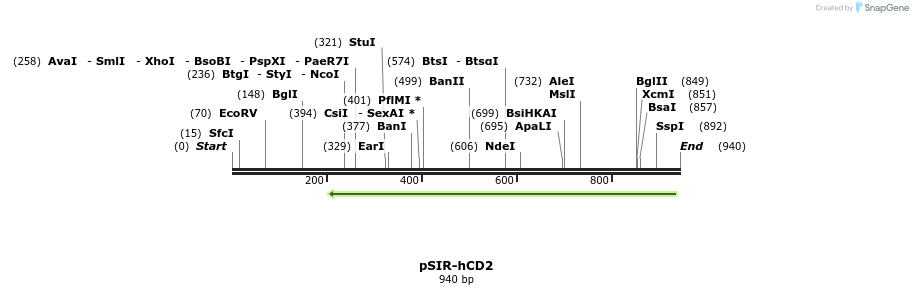 136244_map