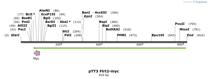 136245_map