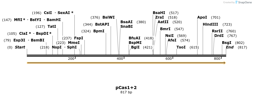 136255_map