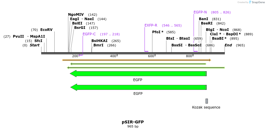 136257_map