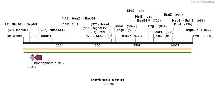 136260_map