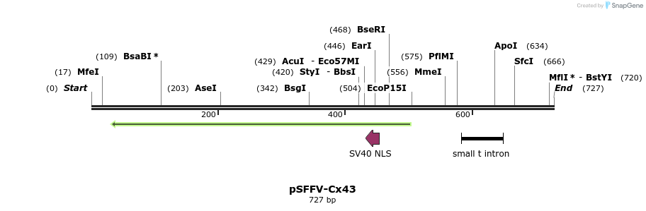 136265_map