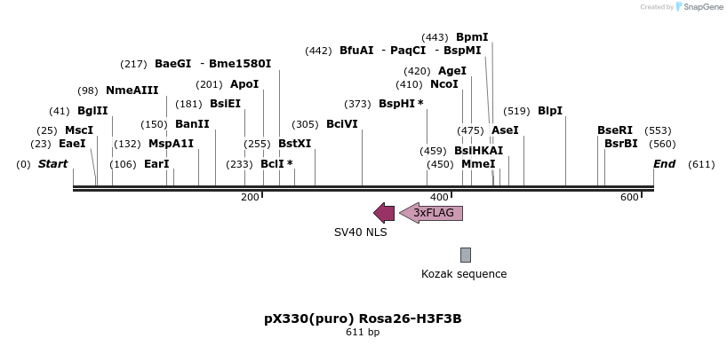 136269_map