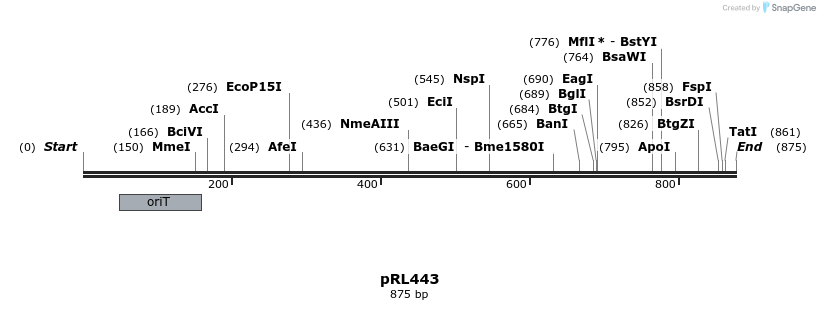 136271_map