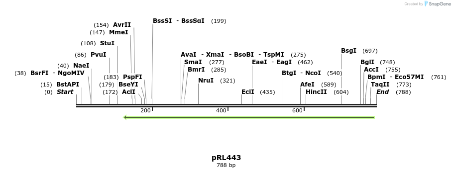 136272_map