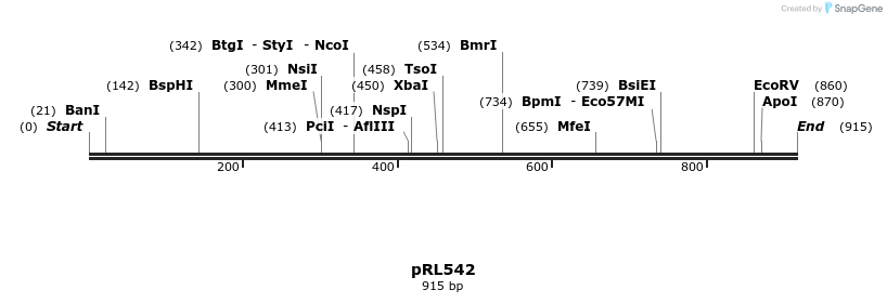 136273_map