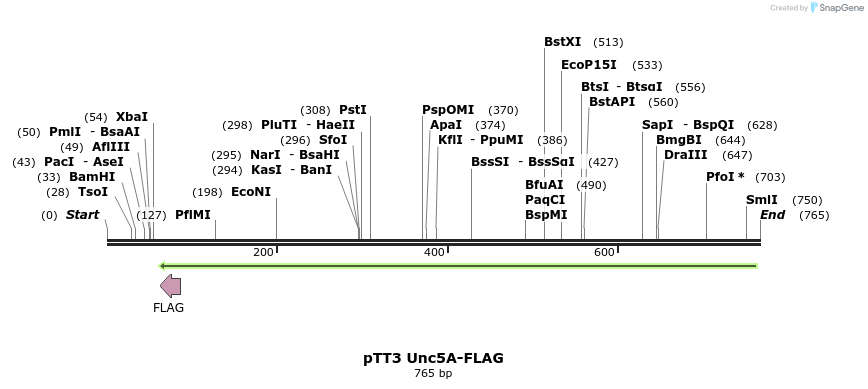 136275_map