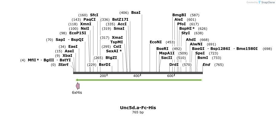 136276_map
