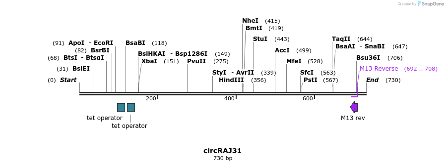 136278_map