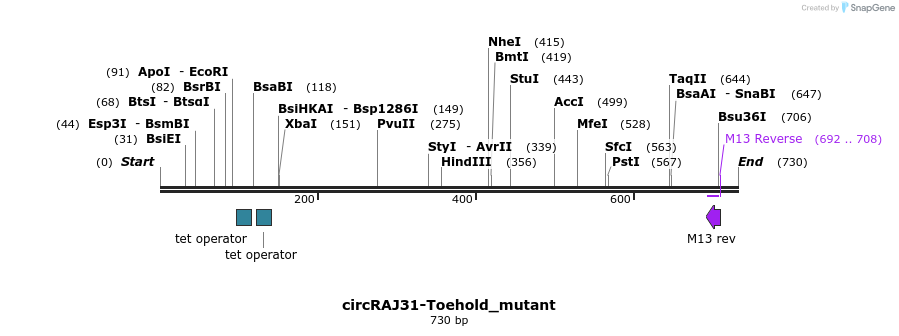 136279_map