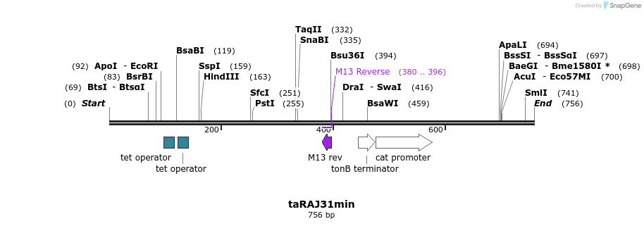 136280_map